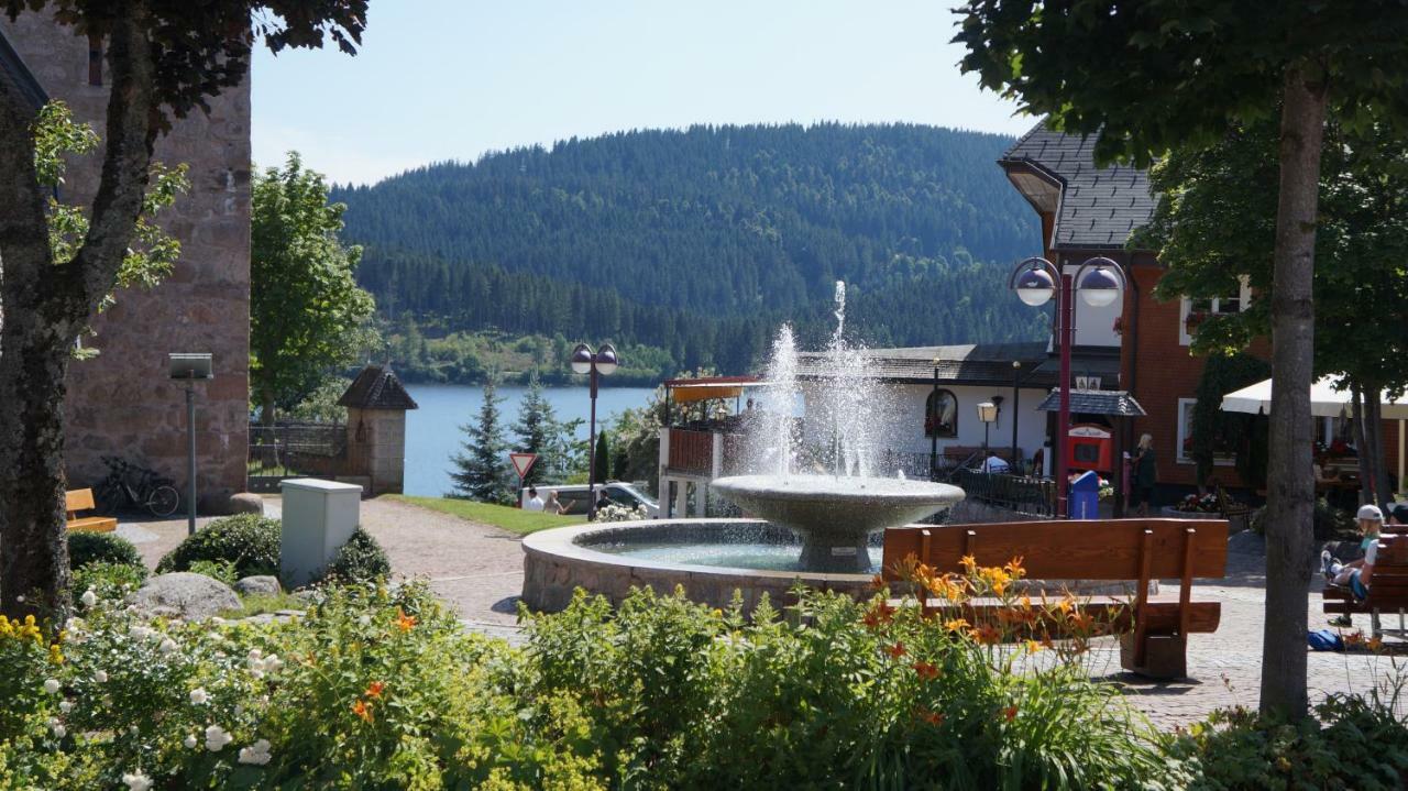 Waldblick Apartment Schluchsee Exterior photo